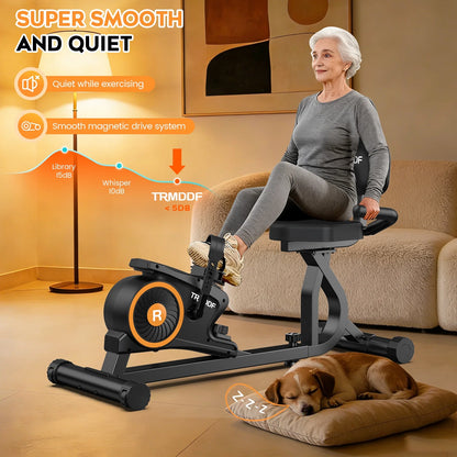 Workout Home Cycling Magnetic Recumbent Exercise Bike Fitness Cardio Indoor Cycling Bike 220Lbs